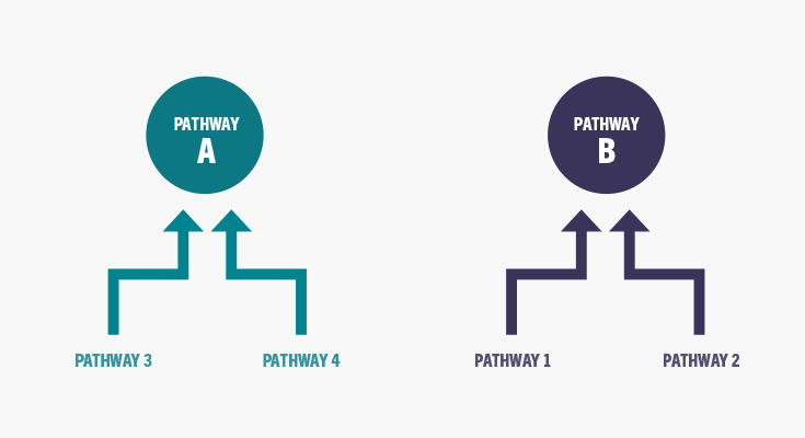 Illustration of proposal to combine pathways 1 and 2, and 3 and 4