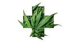 Minimizing Harm for Medical Cannabis