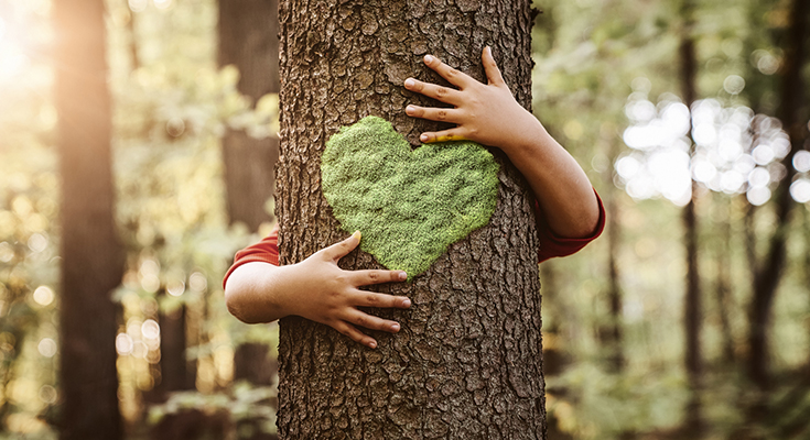 Someone hugging a tree