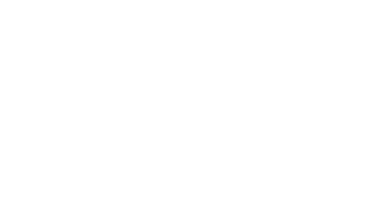 application portal