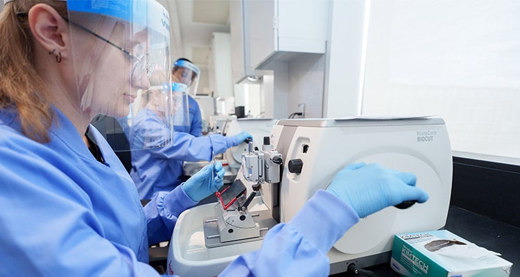 person working in a lab environment with personal protective equipment (PPE)