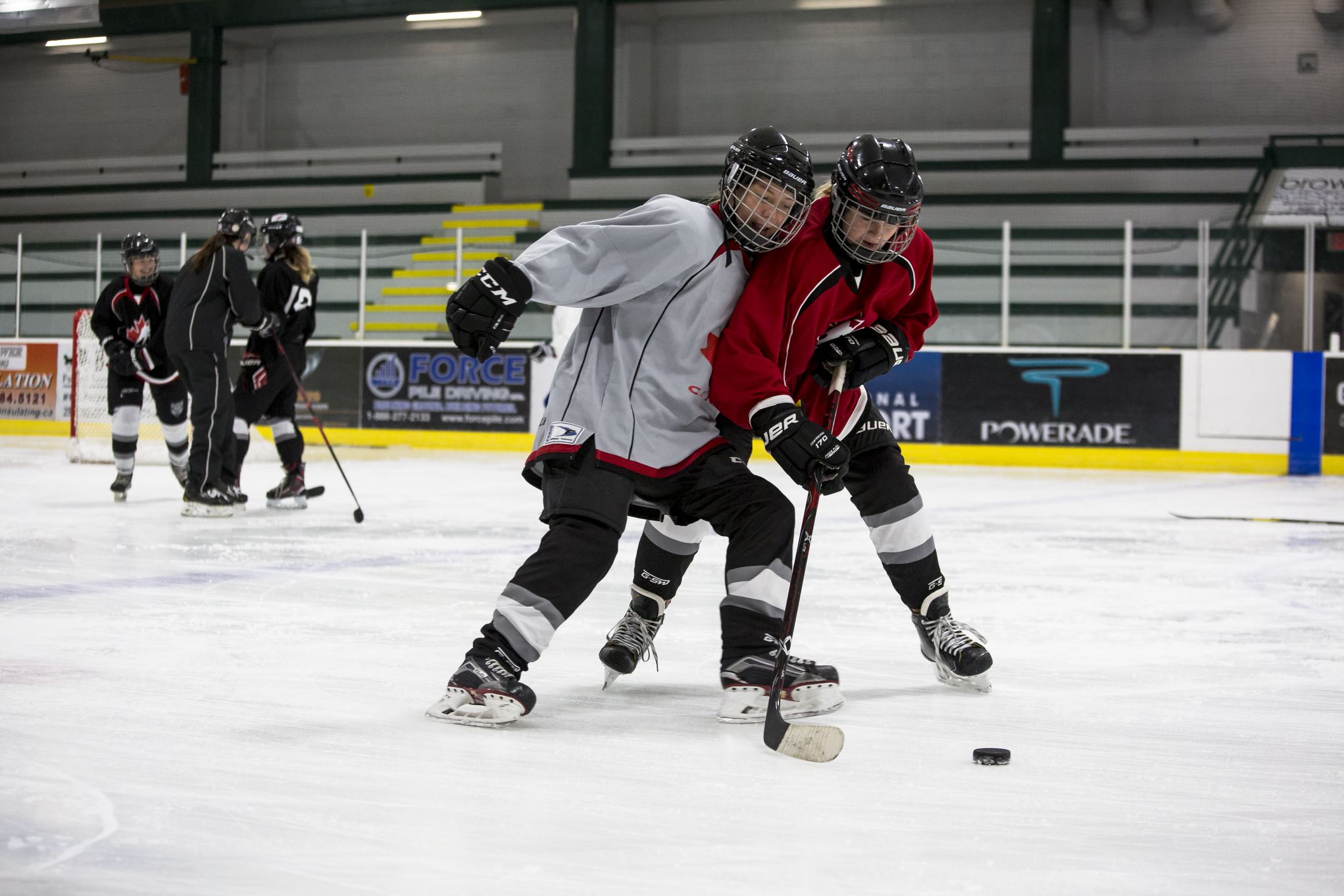 Female | BC Hockey