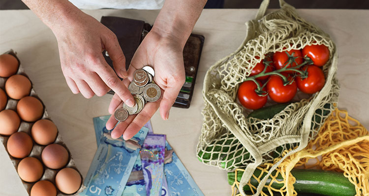 Person counting money while looking at groceries on the counter